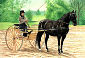 Carriage Driving, Equine Art - Nicely Turned Out